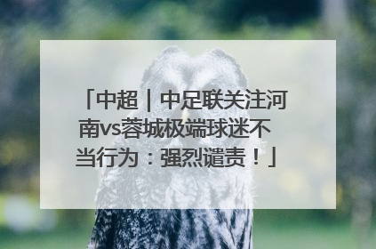 中超｜中足联关注河南vs蓉城极端球迷不当行为：强烈谴责！